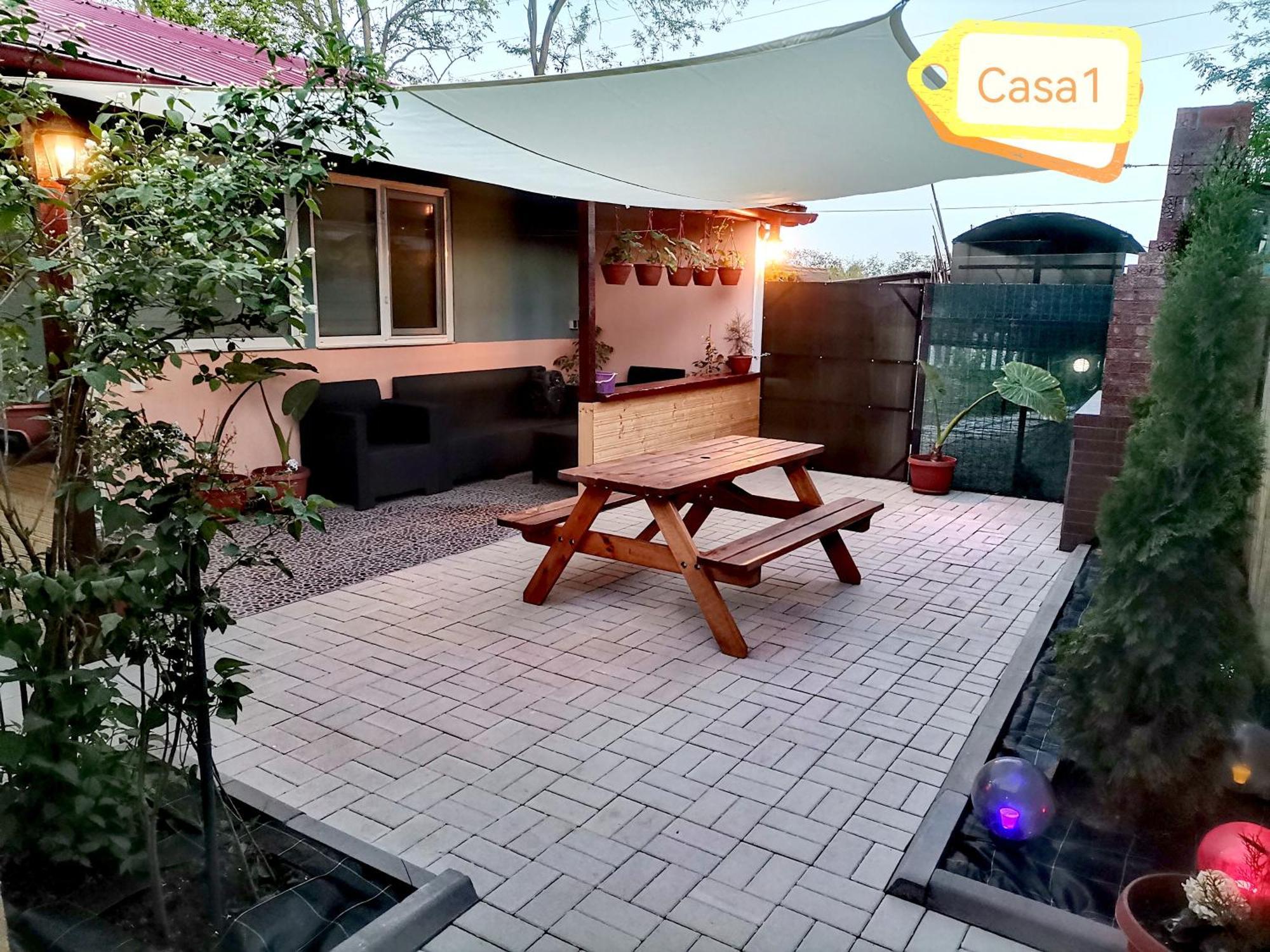 Casa Dasoveanu 苏利纳 外观 照片